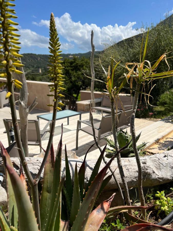 Bed & Breakfast Alelca Domo *